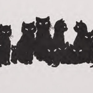 A cat, illustrating Banana Costume Hood