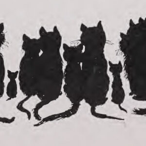 A cat, illustrating Pirate Tricorn