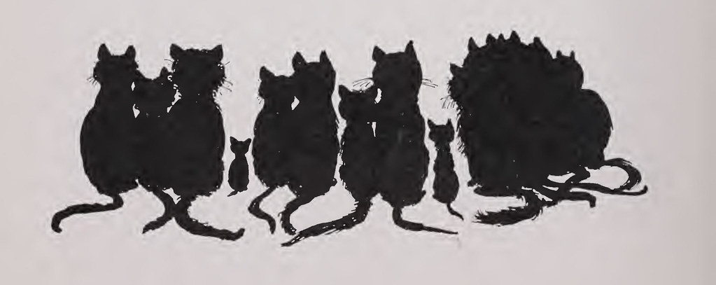 A cat, illustrating Pirate Tricorn